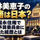 中林美恵子の国籍は日本?米国永住権で上院予算委員会に勤めた経歴とは